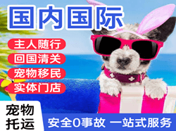 集宁航空托运国际宠物托运 【国